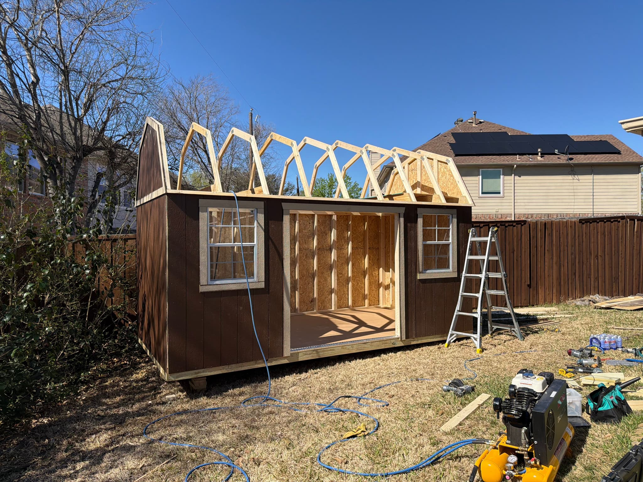 Brown shed with cream trim mid-build, gambrel rafters going up, ladder and tools across the yard.
